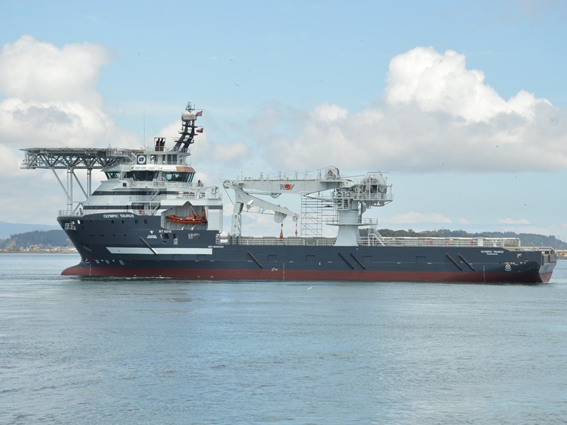 OLYMPIC TAURUS-3